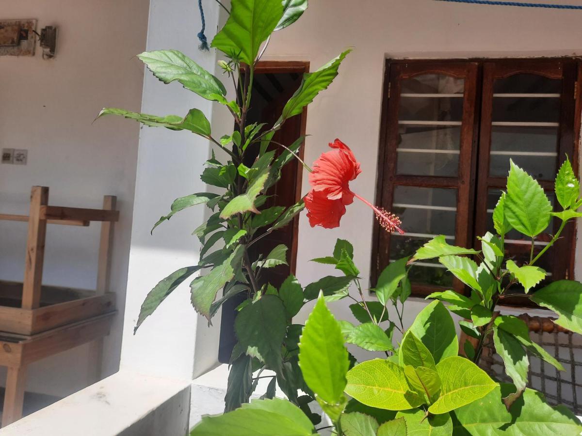 Bed and Breakfast Ames Нунгви Экстерьер фото